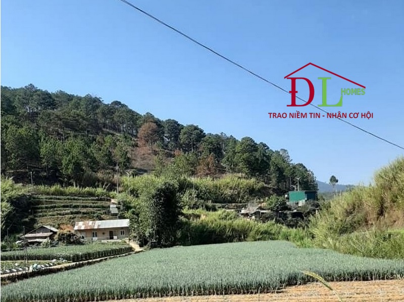 Bán đất mặt tiền Triệu Việt Vương phường 3 Đà Lạt 8757m2