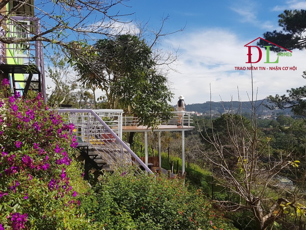 Bán đất tặng Honestay cafe  Ba Tháng Tư phường 3 Đà Lạt view rừng thông