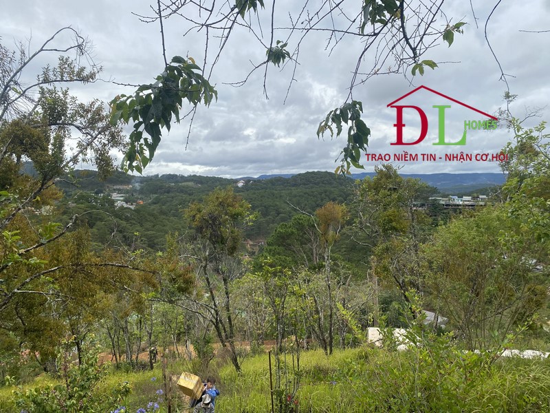 Bán đất Ba Tháng Tư Đà Lạt 1298m2 view rừng thông