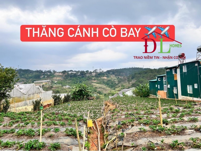 Bán đất hai mặt tiền Triệu Việt Vương Đà Lạt 3840m2 tiện kinh doanh