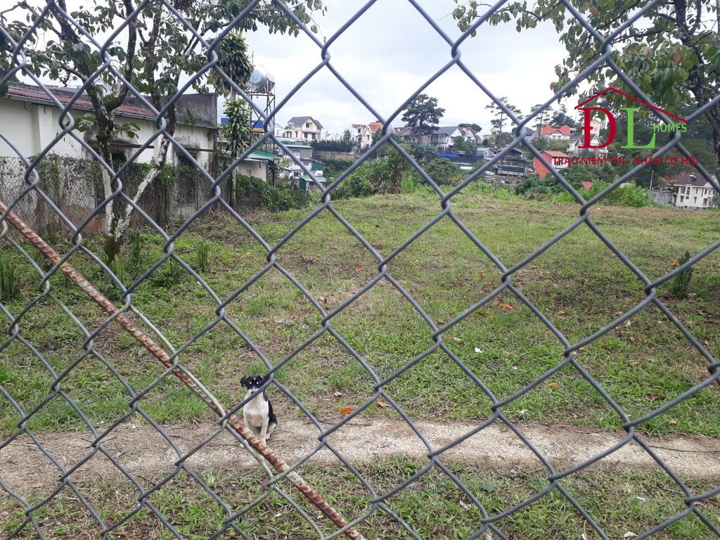 Bán đất Lê Văn Tám phường 10 Đà Lạt thích hợp đầu tư lâu dài