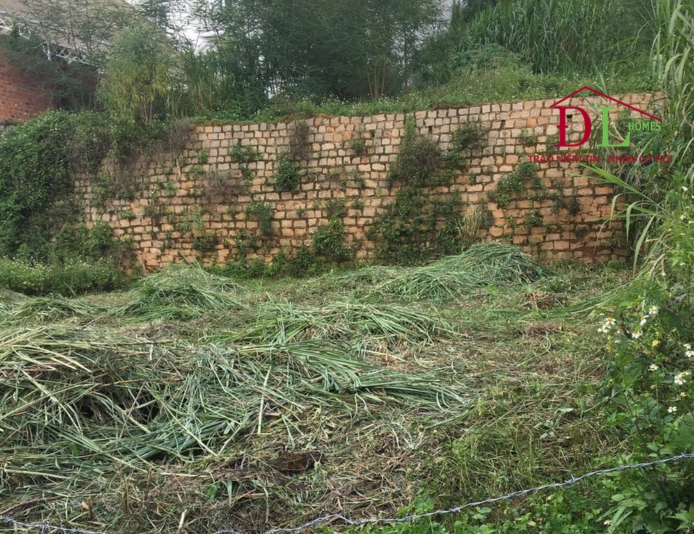Bán đất Ba Tháng Tư phường 3 Đà Lạt 201m2 thích hợp đầu tư