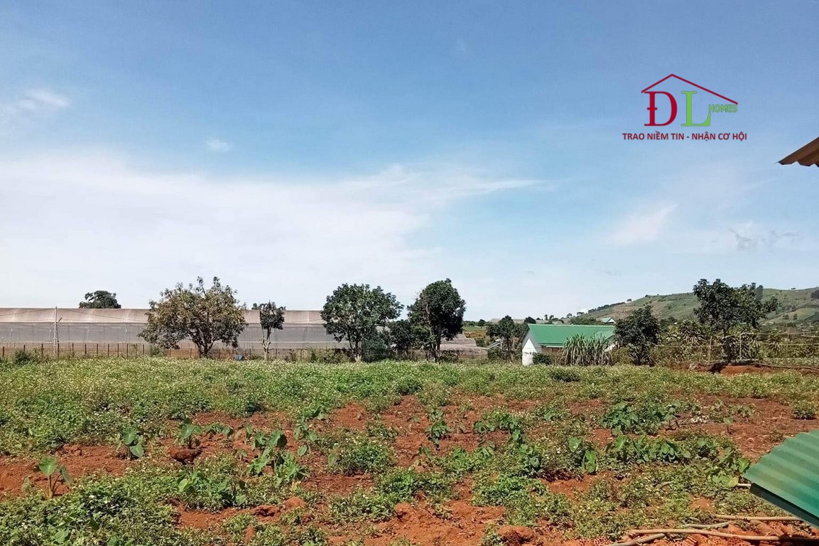 Bán đất 2 mặt tiền hẻm Tà Nung Đà Lạt 1200m2 đầu tư lâu dài