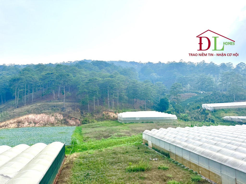 Bán đất Đa Quý Xuân Thọ ĐL 4819m2 đường bê tông view đẹp