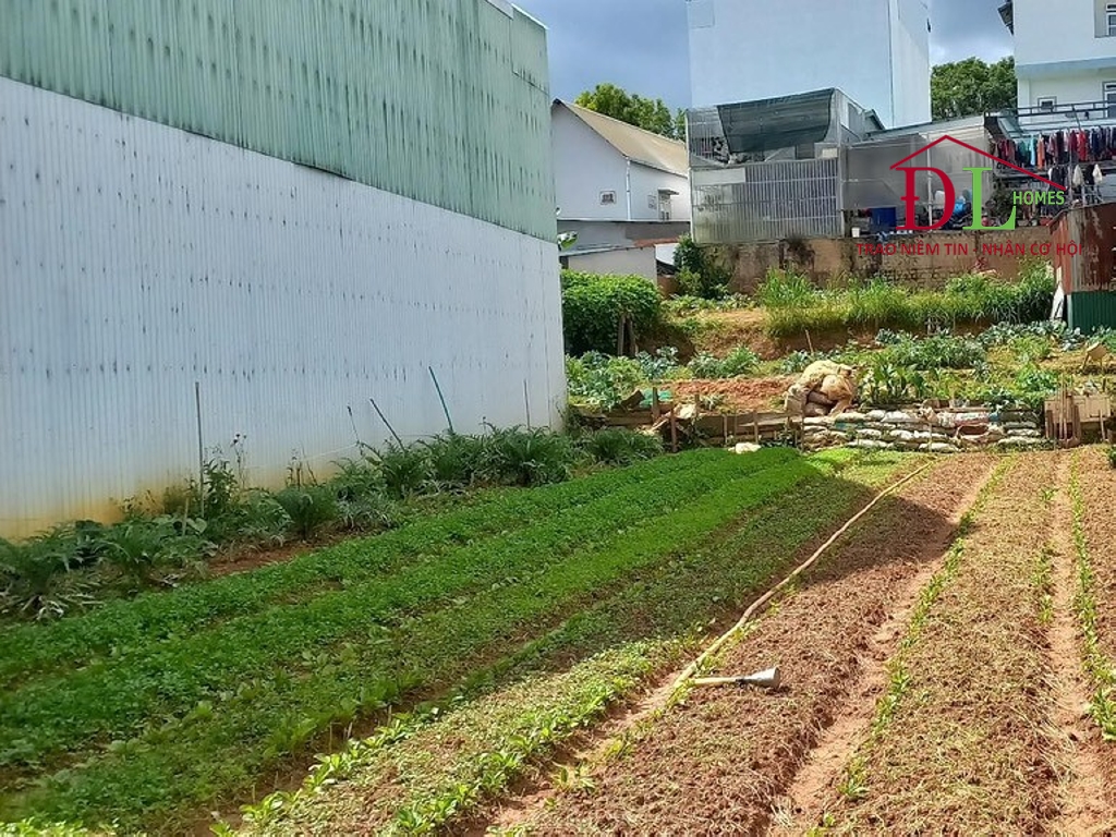 HẠ GIÁ Bán đất 2 mặt tiền hẻm Ngô Quyền phường 6 Đà Lạt 208m2