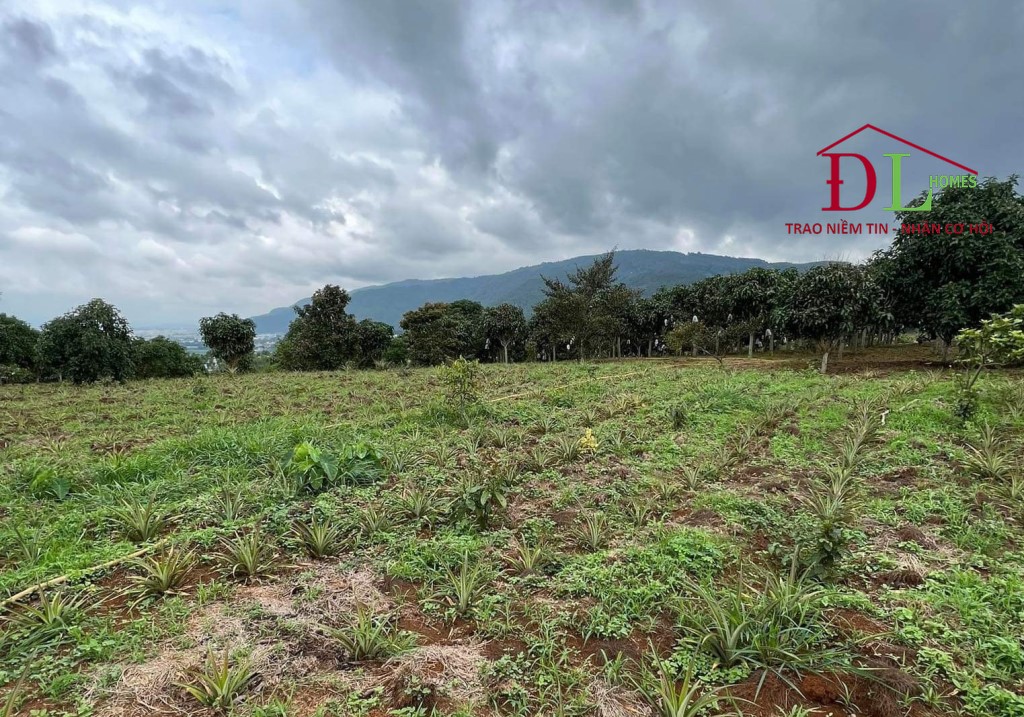 Bán đất 2 mặt tiền hẻm thị trấn D’Ran Đơn Dương view thoáng