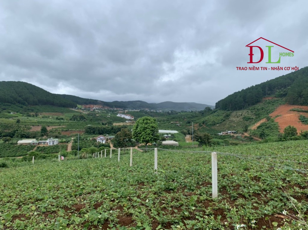 Bán đất Mê Linh Lâm Hà thích hợp đầu tư biệt thự nghỉ dưỡng