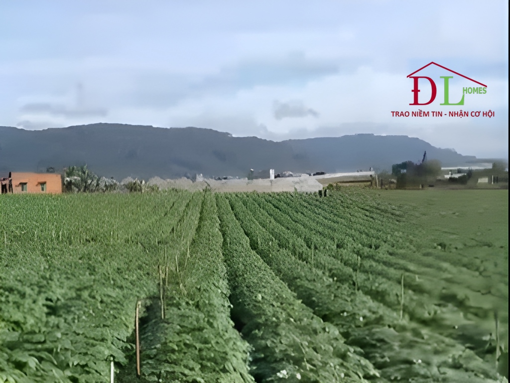 Bán đất xã Tu Tra huyện Đơn Dương thích hợp đầu tư phân lô