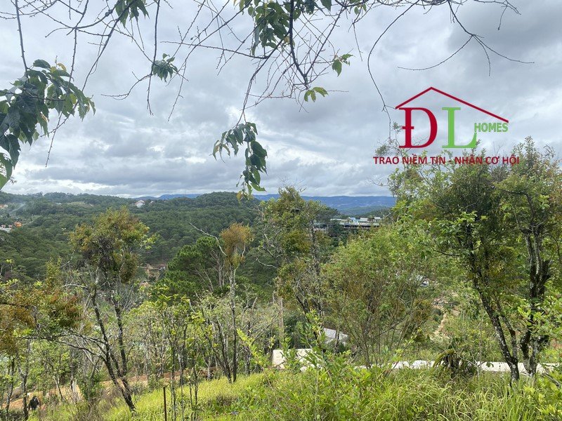 Bán đất Ba Tháng Tư phường 3 Đà Lạt view rừng thông đắt giá