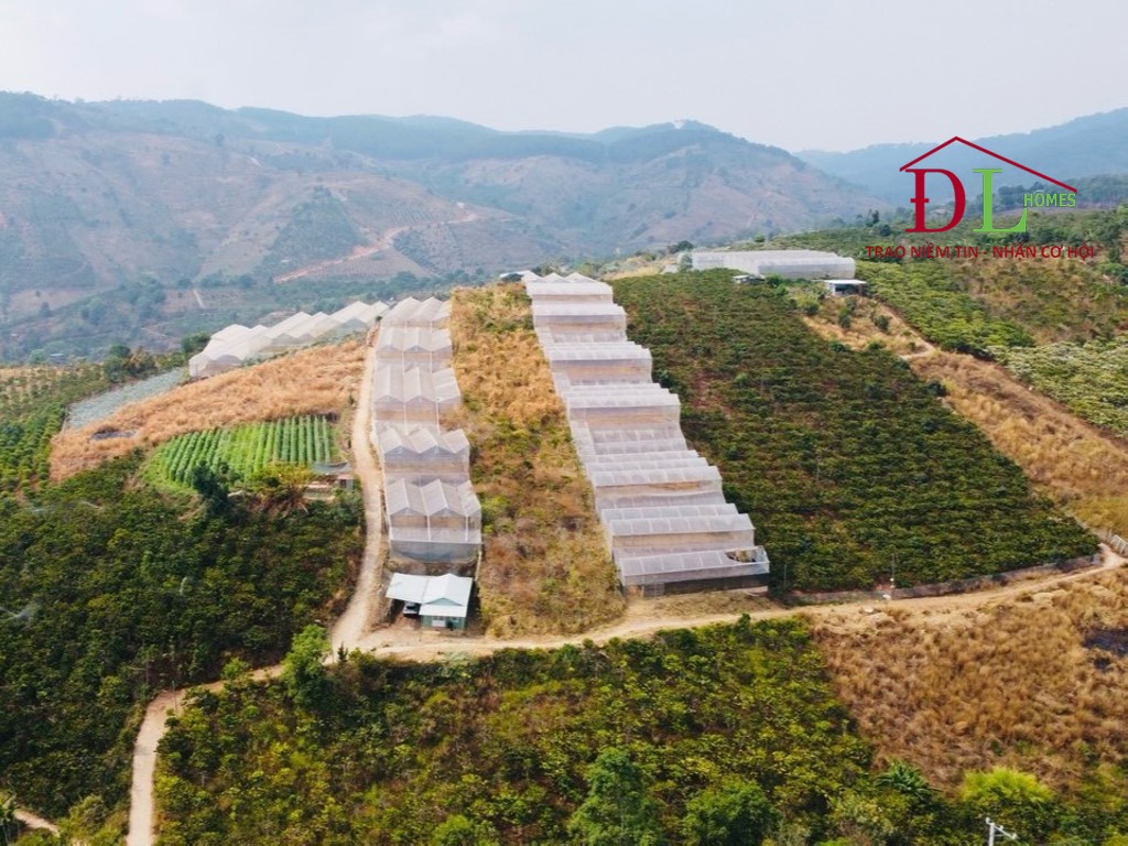 Bán lô đất 2 mặt tiền xã Tà Nung Đà Lạt hợp đầu tư lâu dài
