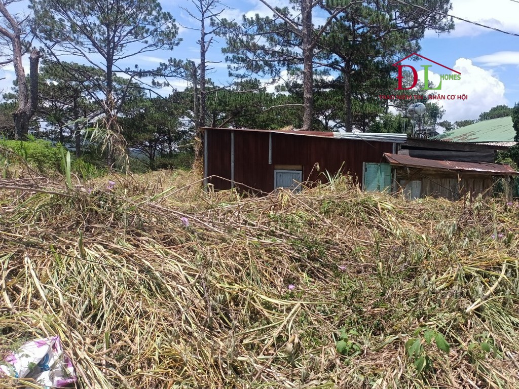 Bán lô đất nông nghiệp Ba Tháng Tư Phường 3 Đà Lạt cạnh Lululola