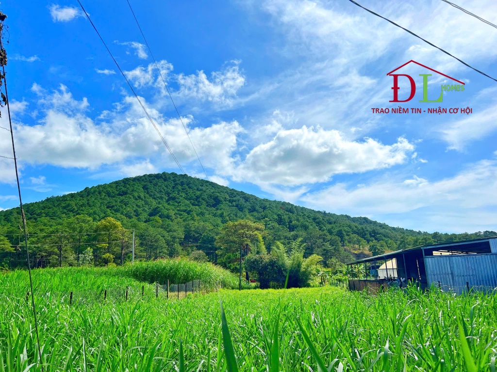 Bán đất xã Đạ Ròn huyện Đơn Dương cạnh dự án sân golf Đạ Ròn