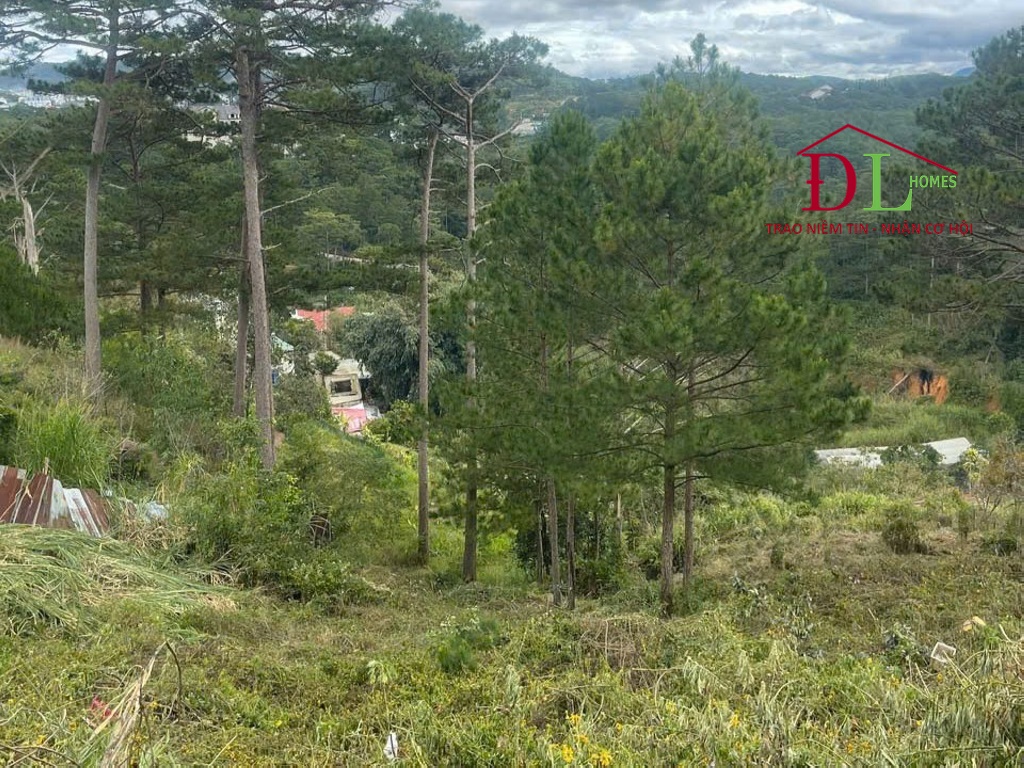 Bán đất Ba Tháng Tư Phường 3 Đà Lạt view rừng thông nguyên sinh